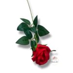 Chryzantema mini F-448