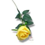 Chryzantema mini F-448