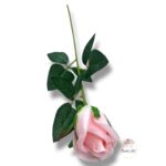 Chryzantema mini F-448