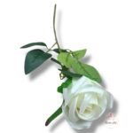 Chryzantema mini F-448