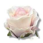 Chryzantema mini F-448