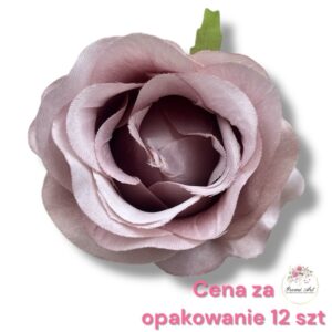 Róża Vivaldi F-437