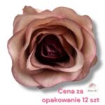 Róża Vivaldi F-438