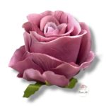 Chryzantema mini F-448