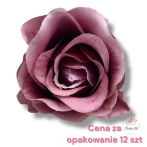 Róża Vivaldi F-439