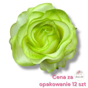 Róża Vivaldi F-440