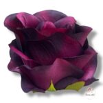 Chryzantema mini F-448