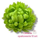 Chryzantema mini F-452