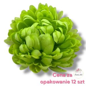 Chryzantema mini F-452