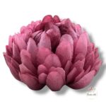 Chryzantema mini F-448