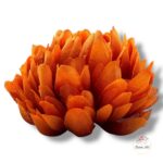 Chryzantema mini F-448