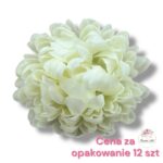 Chryzantema mini F-448