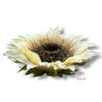 Chryzantema mini F-448