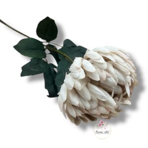 Chryzantema Ananas F-430