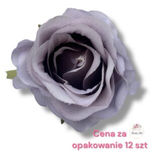 Róża Vivaldi F-436