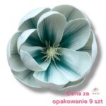 Magnolia pianka F-457