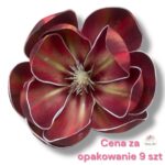 Magnolia pianka F-456