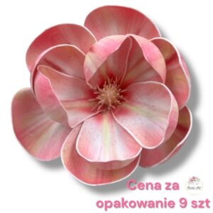 Magnolia pianka F-455