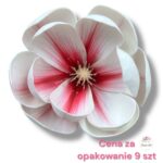 Magnolia pianka F-454