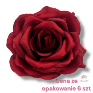 Róża F-491