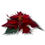 Choinka zawieszka F-484