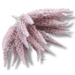 Wrzos różowy F-513