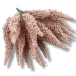 Wrzos pudrowy róż F-513