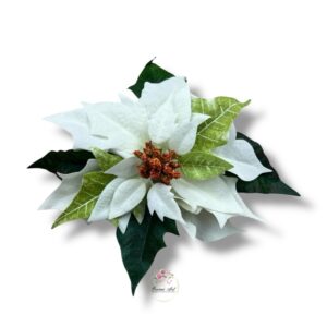 Poinsecja velvet gwiazda F-520