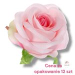 Róża główka F-523