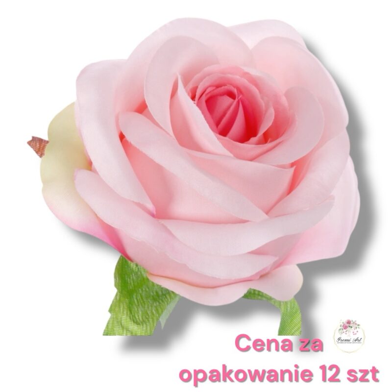 Róża główka F-523