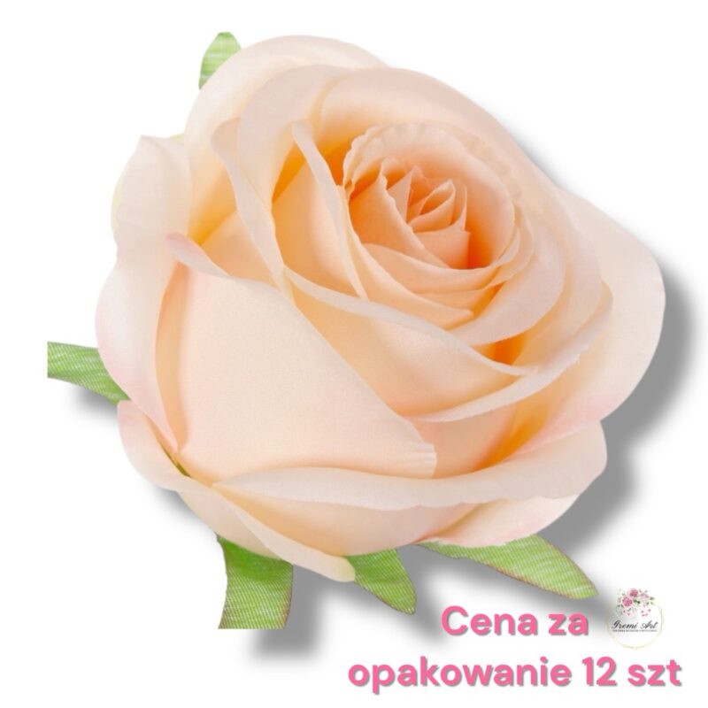 Róża główka F-521