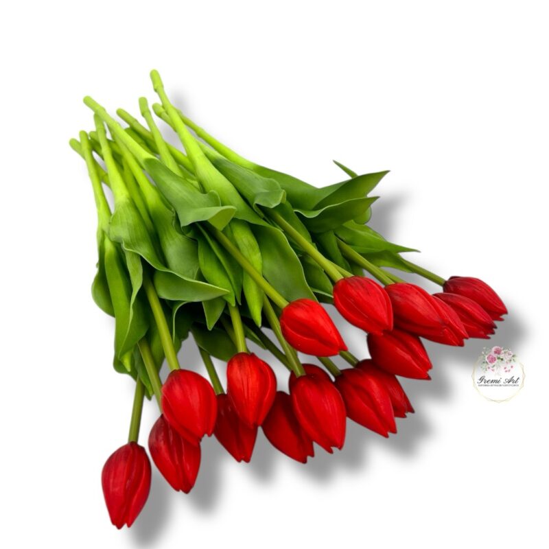 Tulipan gumowany F-527