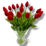 Tulipan gumowany F-527