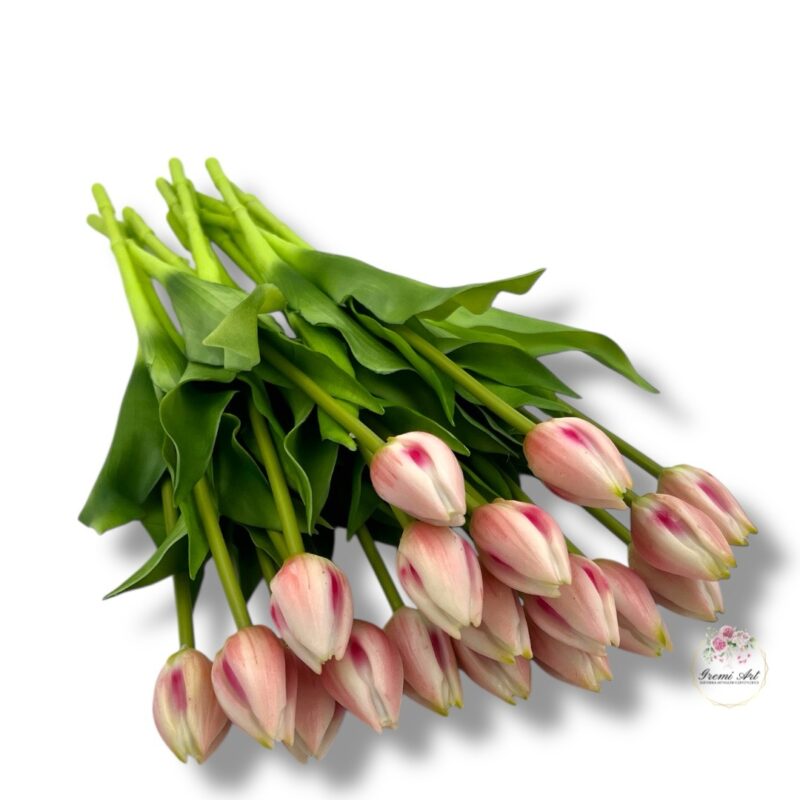 Tulipan gumowany F-526