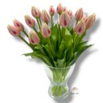 Tulipan gumowany F-526