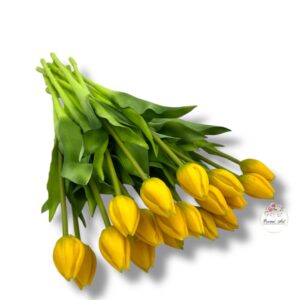 Tulipan gumowany F-525