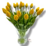 Tulipan gumowany F-525