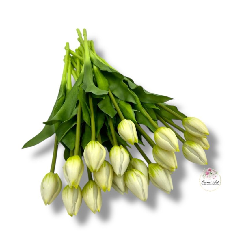 Tulipan gumowany F-524