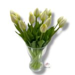 Tulipan gumowany F-524