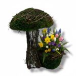 Grzybek z mchu K-531