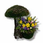 Grzybek z mchu K-531