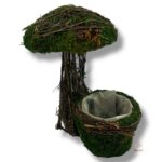 Grzybek z mchu K-531