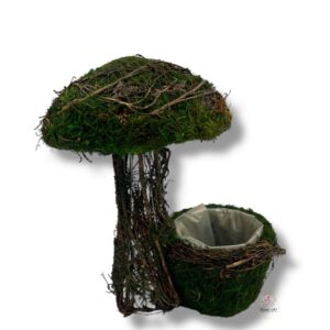 Grzybek z mchu K-531