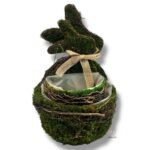 Osłonki z mchu 2 szt. K-530