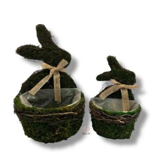 Osłonki z mchu 2 szt. K-530