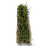 Kora z mchem K-585