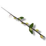 Bazie żółte 12 szt. F-549