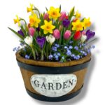 Osłonka drewniana brązowa K-541