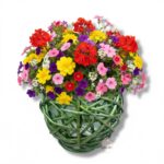 Osłonka wiklinowa K-650