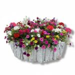 Osłonki z kory kpl. 2 szt K-656